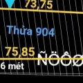 ĐẤT LÚA QUY HOẠCH KDC ĐƯỜNG 7M BÀ ĐIỂM MỚI MT RỘNG – QUỸ ĐẤT KHỦNG CHỈ 12TR/M²
