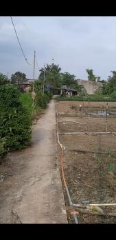 Bán 4200m2 đất cây lâu năm 9 tỷ