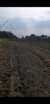 Bán 4200m2 đất cây lâu năm 9 tỷ