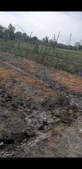 Bán 4200m2 đất cây lâu năm 9 tỷ