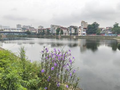 Bán nhà 38m2, Vũ Tông Phan Thanh Xuân, Cạnh Hồ, gần Ô Tô tránh, Lô Góc, 4.25 Tỷ