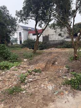 Bán ĐẤT P/Lô 2 Ô Tô Tránh Full Thổ Cư 100/107m2-MT5m Gốc Thông Minh Phú 2,8 Tỷ.