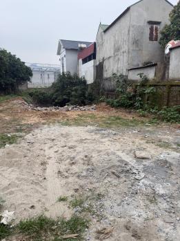 Bán ĐẤT P/Lô 2 Ô Tô Tránh Full Thổ Cư 100/107m2-MT5m Gốc Thông Minh Phú 2,8 Tỷ.