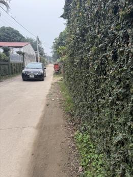 Bán ĐẤT P/Lô 2 Ô Tô Tránh Full Thổ Cư 100/107m2-MT5m Gốc Thông Minh Phú 2,8 Tỷ.