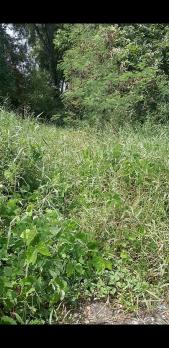 Bán 125m2 đất thổ cư huyện cần giuộc xây dựng ngay