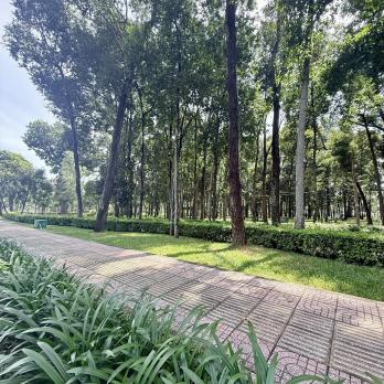 ĐÀO DUY ANH - PHÚ NHUẬN 65M2 - 4 TẦNG, PHÂN LÔ - XE HƠI NGỦ NHÀ - CÁCH SÂN BAY, CV GIA ĐỊNH 1KM.