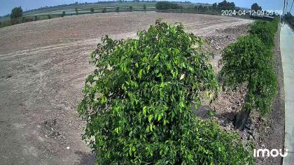 SIÊU PHẨM VIP – QUỸ ĐẤT KHỦNG 2 MẶT TIỀN TỈNH LỘ 7, CỦ CHI GIÁ ĐẦU TƯ