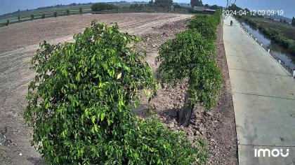 SIÊU PHẨM VIP – QUỸ ĐẤT KHỦNG 2 MẶT TIỀN TỈNH LỘ 7, CỦ CHI GIÁ ĐẦU TƯ