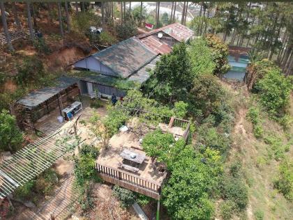 CHO THUÊ ĐẤT NÔNG NGHIỆP VIEW RỪNG THÔNG – P. CAM LY (P.5), ĐÀ LẠT