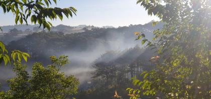 CHO THUÊ ĐẤT NÔNG NGHIỆP VIEW RỪNG THÔNG – P. CAM LY (P.5), ĐÀ LẠT