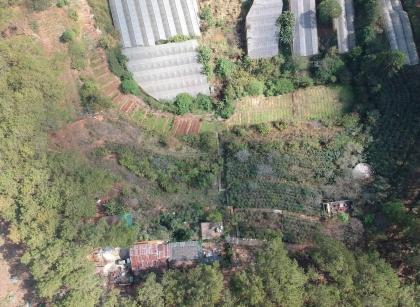 CHO THUÊ ĐẤT NÔNG NGHIỆP VIEW RỪNG THÔNG – P. CAM LY (P.5), ĐÀ LẠT
