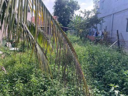 ĐẤT (9X32.5) MẶT TIỀN TÔ KÝ – NGANG 9M HIẾM – GIÁP Q12, KINH DOANH ĐỈNH