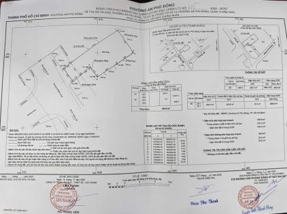 ĐẤT ĐẸP 259M2 MẶT TIỀN AN PHÚ ĐÔNG 09 – GẦN QL1A ĐẤT NỞ HẬU ĐẸP