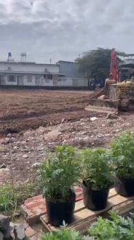 ĐẤT (5x25) MẶT TIỀN ĐÔNG THẠNH – HÓC MÔN – GIÁ TỐT BẤT NGỜ