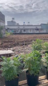 ĐẤT (5x25) MẶT TIỀN ĐÔNG THẠNH – HÓC MÔN – GIÁ TỐT BẤT NGỜ