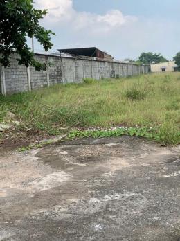 SIÊU PHẨM ĐẤT VIP KHỦNG LONG (39x260) MẶT TIỀN TÔ KÝ – HÓC MÔN