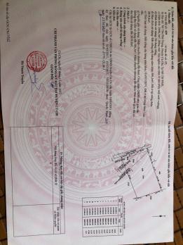 SIÊU PHẨM ĐẤT ĐẸP TÂN PHÚ TRUNG – CỦ CHI (2.600M²) FULL TIỀM NĂNG – GIÁ CHỈ 14.2 TỶ‼️