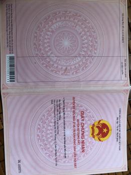 SIÊU PHẨM ĐẤT ĐẸP TÂN PHÚ TRUNG – CỦ CHI (2.600M²) FULL TIỀM NĂNG – GIÁ CHỈ 14.2 TỶ‼️