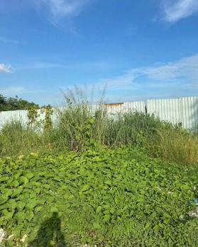 SIÊU QUỸ ĐẤT MẶT TIỀN RẠCH VƯỜN LÀI – AN PHÚ ĐÔNG Q12 – GẦN 3.800M²