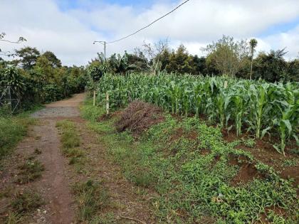 Bán 166,6m2 đất Tân Lạc Lâm Đồng, sẵn SHR, chỉ 450tr buông sổ. Lh:0983762203