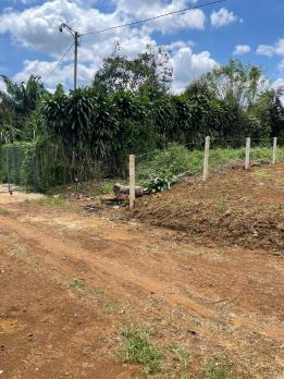 Bán 166,6m2 đất Tân Lạc Lâm Đồng, sẵn SHR, chỉ 450tr buông sổ. Lh:0983762203