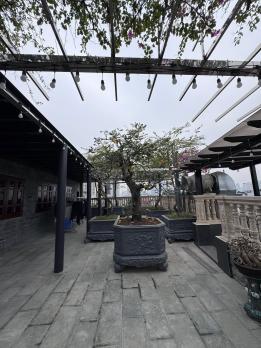 Bán Nhà Mặt Phố Nguyễn Hoàng Nam Từ Liên 750m2-10T MT35m LÔ GÓC 990 Tỷ.