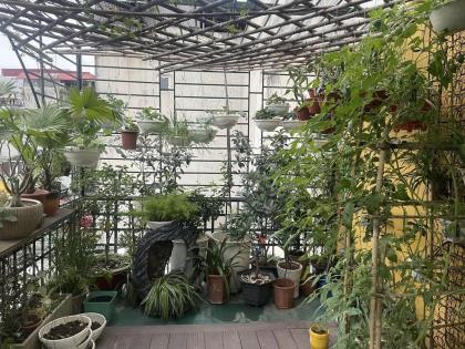 Bán nhà mặt phố Bà Triệu,Hà Đông 50m2, 5 Tầng, Giá 18 tỷ +