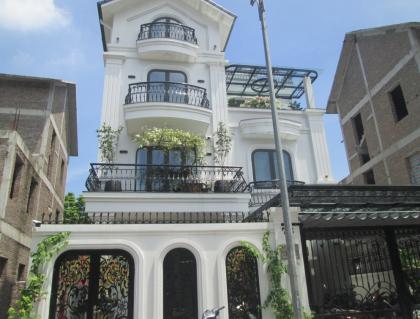 Chú Hà bán biệt thự BT2 BT3 KĐT Tân Tây Đô gần Noble Palace Tây Thăng Long 220m2 chỉ 2x tỷ