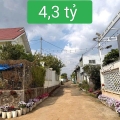 Bán 369m2 Đất Trần Phú Liên Nghĩa - Đức Trọng - Lâm Đồng - giá 4 tỷ 3