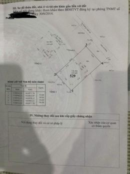 ĐỘC BẢN BIỆT THỰ VƯỜN LÀI – TÂM ĐIỂM KẾT NỐI AN PHÚ ĐÔNG & GÒ VẤP