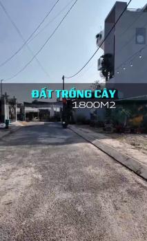 CCG ĐẤT TÂN HIỆP HÓC MÔN – SÁT CẠNH KHU BIỆT THỰ – GIÁ CHỈ 10TR/M²