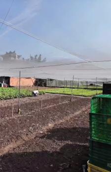 CCG ĐẤT TÂN HIỆP HÓC MÔN – SÁT CẠNH KHU BIỆT THỰ – GIÁ CHỈ 10TR/M²