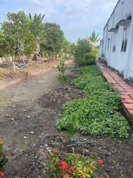 SÁT VINHOMES HÓC MÔN – NHÀ VƯỜN THỔ CƯ – GIÁ HỜI HIẾM CÓ - RẺ HƠN CỦ CHI