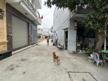 BÁN NHÀ TRỌ 25/35/1C HỒ VĂN LONG, GẦN CHỢ BÀ HÔM CŨ - TÂN TẠO. 93M2 CHỈ 6 TỶ LH:0902964416