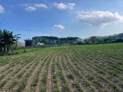 Đất làm vườn nghĩ dưỡng view sông sát đường đi Núi Thần Tài 3800m2 chỉ 5.3 tỷ. Lh:0913913077.