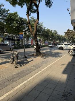 Bán Nhà Mặt Phố Nguyễn Khánh Toàn Cầu Giấy 103m2-5T 5m Vỉa Hè 58 Tỷ Có Thương Lượng.