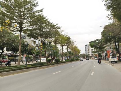 Đất DV khu LK 20a,b Dương Nội, DT50m2, MT5m, ô tô KD, 14.89 tỷ Hà Đông