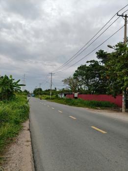 ĐẤT ĐẸP (14X56) MẶT TIỀN THANH NIÊN – 800m² – GIÁ CHỈ 9,5 TỶ (GẦN CẦU LỚN)