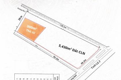 GẤP BÁN 3 MẶT TIỀN TỈNH LỘ 2 – GẦN 6.000m² – SÁT CAO TỐC & VÀNH ĐAI – CHỈ 50 TỶ!