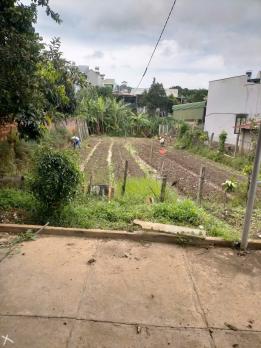 Bán nhà vườn 457m2 Phi nôm - hiệp thạnh - Đức Trọng - Lâm Đồng 2,6 tỷ