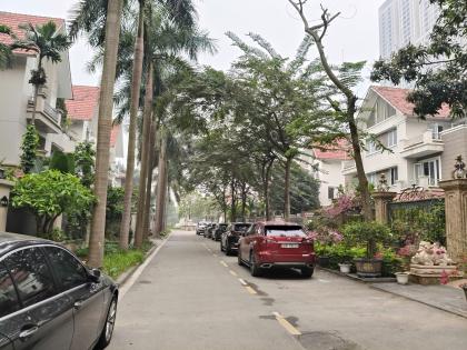 Biệt thự 4T xây thô ĐTM An Hưng, Dương Nội, DT238m MT12m, 55 tỷ Hà Đông