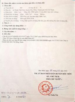 RA GẤP 2 LÔ LIỀN KỀ MẶT TIỀN XUÂN THỚI SƠN 03 – SÁT VÀNH ĐAI 3 – 1.006M²/LÔ