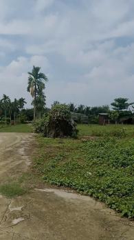 NHÀ VƯỜN 6.400M² – 1.350M² THỔ CƯ – ĐƯỜNG XE TẢI XUÂN THỚI SƠN, HÓC MÔN