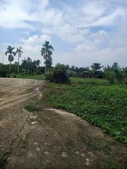 NHÀ VƯỜN 6.400M² – 1.350M² THỔ CƯ – ĐƯỜNG XE TẢI XUÂN THỚI SƠN, HÓC MÔN