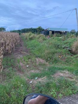 BÁN 4761m2 ĐẤT XÃ LÁNG DÀI, NGAY CHỢ LÁNG DÀI, HUYỆN ĐẤT ĐỎ BÀ RỊA (NAY LÀ XÃ ĐẤT ĐỎ - HCM)