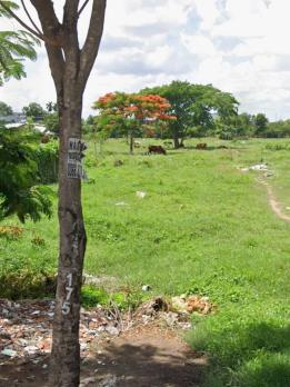 MẶT TIỀN BÀ ĐIỂM – NGANG 10M HIẾM – 400M² FULL THỔ – CHỈ 15 TỶ