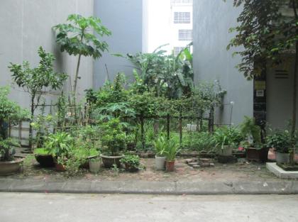 CC bán đất Hàng Bè, Đìa Lão đường 15m cạnh CC Mipec 50m2 chỉ 13.x tỷ. LH 0989626116