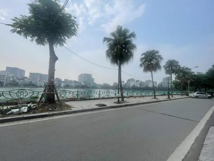 Bán Nhà Phố Từ Hoa Quảng An 176m2-3T MT7,8m 1 SỔ 1 CHỦ 82 Tỷ Từ Hoa.